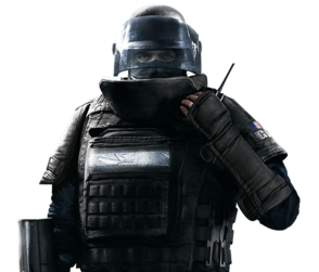 Rook (podporný)